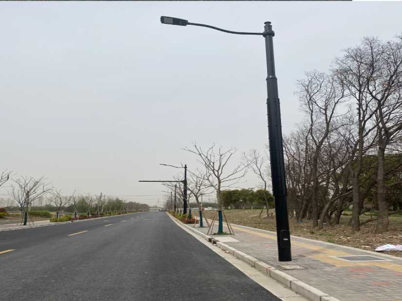 静宁县上海综合杆 太阳能路灯工程